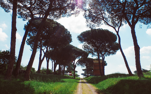 Green grass path  from Chrome web store to be run with OffiDocs Chromium online