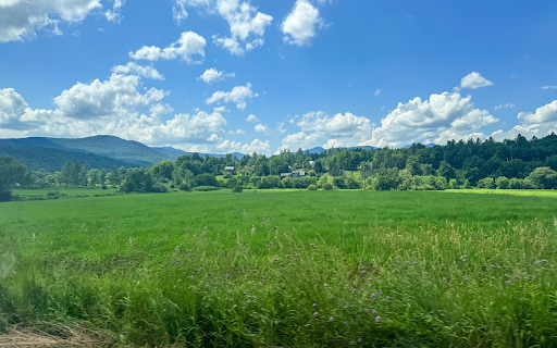 green hill meadow  from Chrome web store to be run with OffiDocs Chromium online