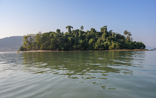 Green island by the sea  from Chrome web store to be run with OffiDocs Chromium online