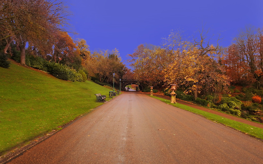 Green lawns  from Chrome web store to be run with OffiDocs Chromium online