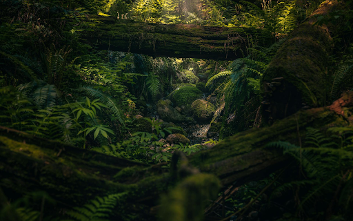 Green Mossy Rock Stream  from Chrome web store to be run with OffiDocs Chromium online