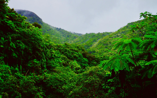 Green nature  from Chrome web store to be run with OffiDocs Chromium online