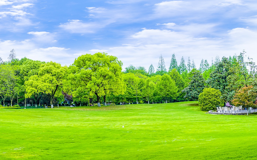 Green park and green lawn  from Chrome web store to be run with OffiDocs Chromium online