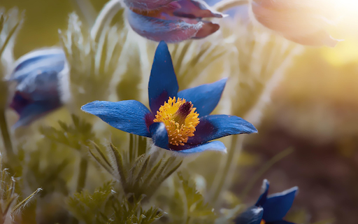 Green petal flower  from Chrome web store to be run with OffiDocs Chromium online