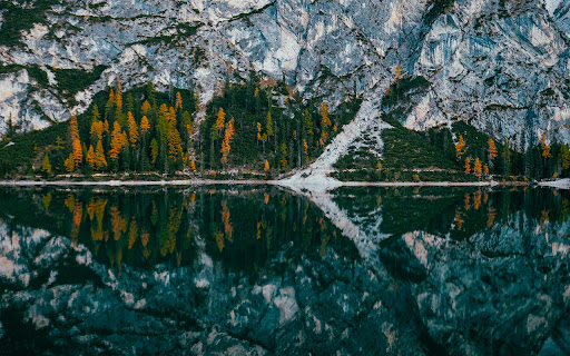 green pine trees near water and mountain  from Chrome web store to be run with OffiDocs Chromium online