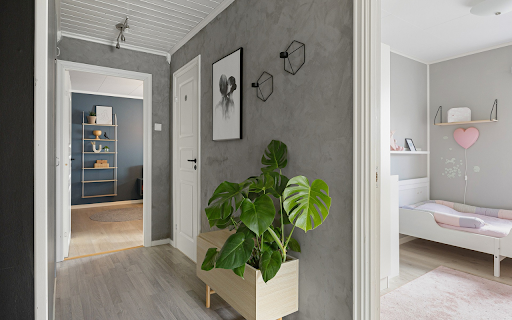 Green plants in the room  from Chrome web store to be run with OffiDocs Chromium online