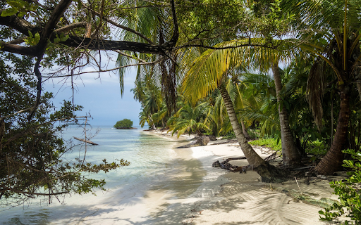 Green sea and island  from Chrome web store to be run with OffiDocs Chromium online