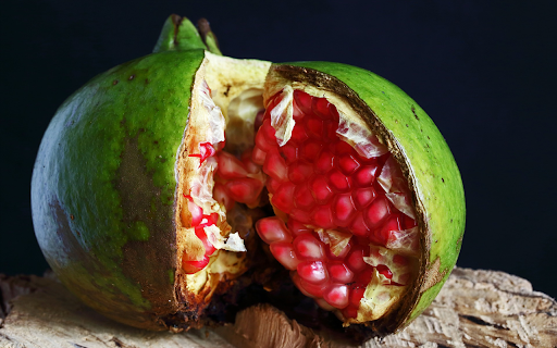 Green shell and red seeds  from Chrome web store to be run with OffiDocs Chromium online