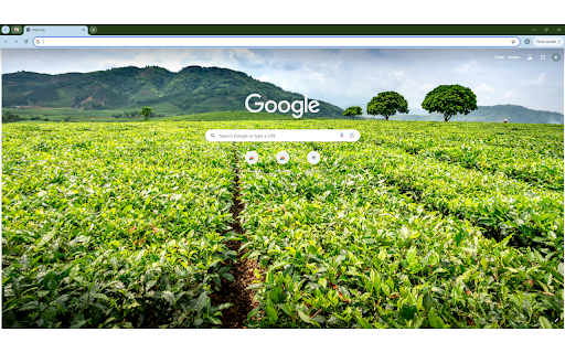 Green tea shrubs and trees against massive  from Chrome web store to be run with OffiDocs Chromium online