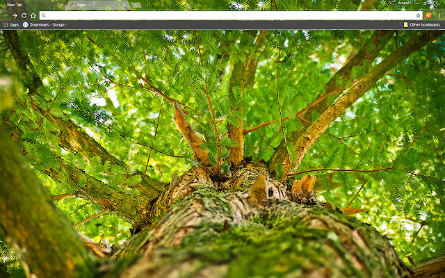 Green Tree  from Chrome web store to be run with OffiDocs Chromium online