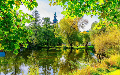 Green trees around the lake  from Chrome web store to be run with OffiDocs Chromium online