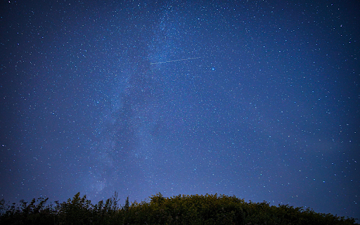 Green Trees Under the Blue Sky during Night Time  from Chrome web store to be run with OffiDocs Chromium online