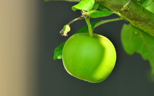 Green young apple  from Chrome web store to be run with OffiDocs Chromium online