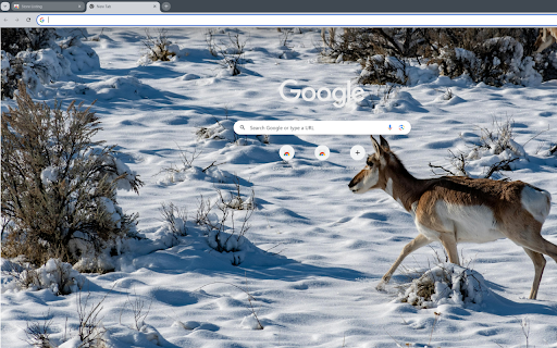 group of deer and antelope foraging in the forest  from Chrome web store to be run with OffiDocs Chromium online