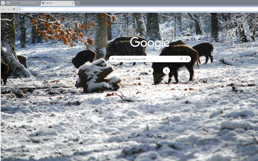 group of wild boars foraging in the snow  from Chrome web store to be run with OffiDocs Chromium online