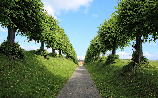 Guards of trees  from Chrome web store to be run with OffiDocs Chromium online