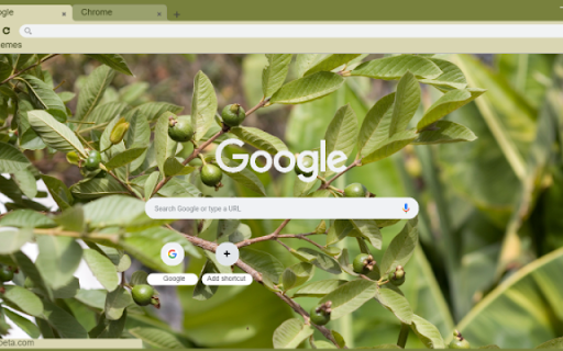 Guava Tree  from Chrome web store to be run with OffiDocs Chromium online