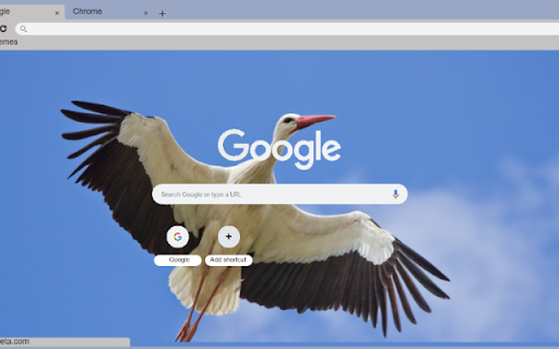 HAC+  from Chrome web store to be run with OffiDocs Chromium online