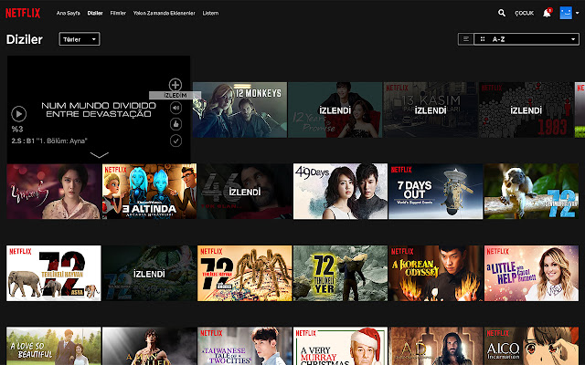 HadiAma Netflix  from Chrome web store to be run with OffiDocs Chromium online