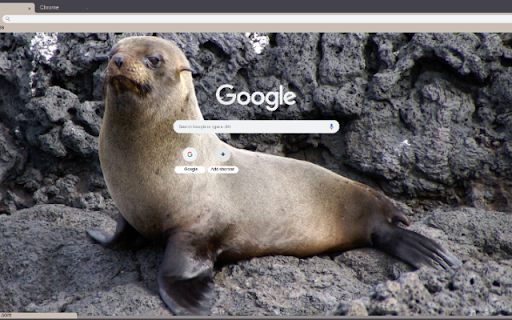 Hai Cau  from Chrome web store to be run with OffiDocs Chromium online
