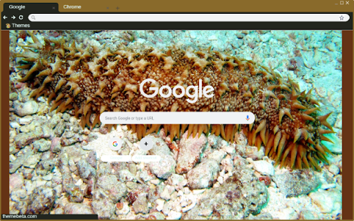 Hai sam  from Chrome web store to be run with OffiDocs Chromium online