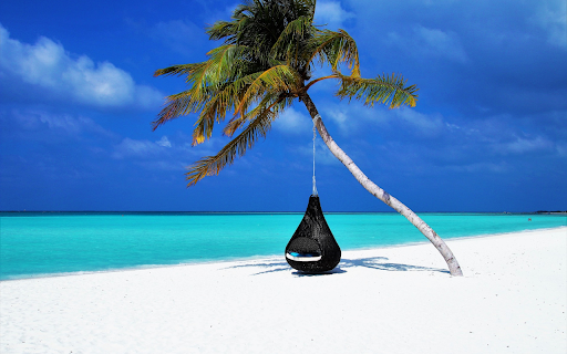 Hammock hanging on a coconut tree  from Chrome web store to be run with OffiDocs Chromium online
