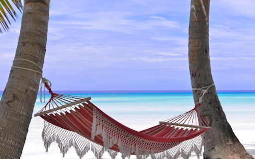 Hammock tied to coconut tree  from Chrome web store to be run with OffiDocs Chromium online