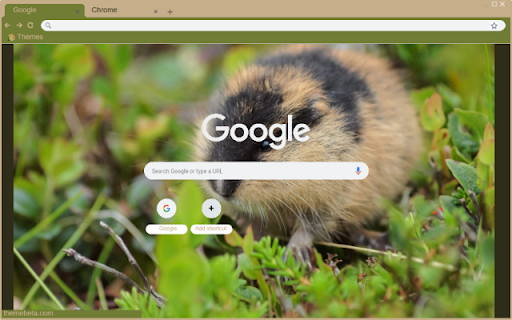 Hamster Hoang  from Chrome web store to be run with OffiDocs Chromium online