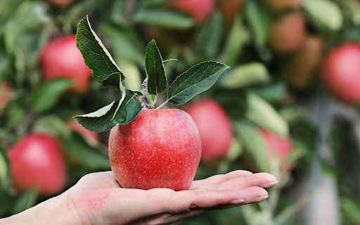 Hand and red apple  from Chrome web store to be run with OffiDocs Chromium online