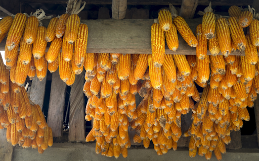 Hanging corn  from Chrome web store to be run with OffiDocs Chromium online