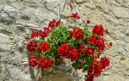 Hanging flower pot  from Chrome web store to be run with OffiDocs Chromium online