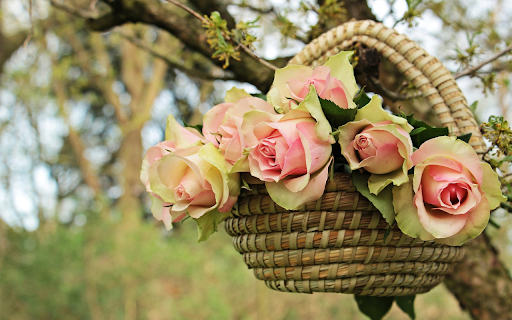 Hanging roses  from Chrome web store to be run with OffiDocs Chromium online