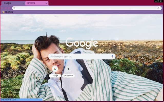 Harry Styles  from Chrome web store to be run with OffiDocs Chromium online