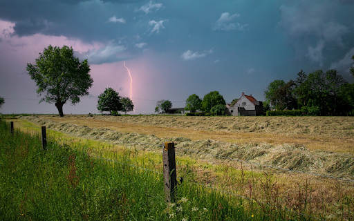 Harvest before the storm  from Chrome web store to be run with OffiDocs Chromium online