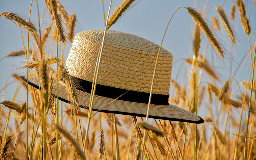 Hat in the field  from Chrome web store to be run with OffiDocs Chromium online