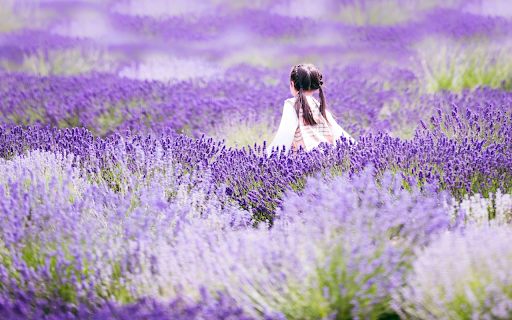 Have fun in the flower garden  from Chrome web store to be run with OffiDocs Chromium online