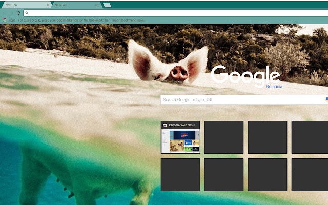 Hawaiian Pig  from Chrome web store to be run with OffiDocs Chromium online