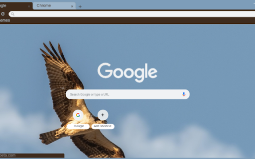 Hawk  from Chrome web store to be run with OffiDocs Chromium online