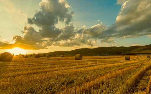 Hay Bales at Sunset  from Chrome web store to be run with OffiDocs Chromium online