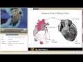 Heart Dissection  from Chrome web store to be run with OffiDocs Chromium online Heart Dissection  from Chrome web store to be run with OffiDocs Chromium online