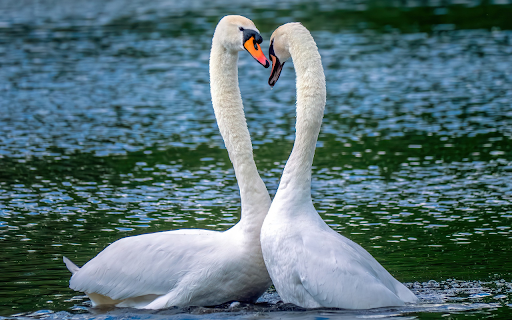 Heart mine station  from Chrome web store to be run with OffiDocs Chromium online