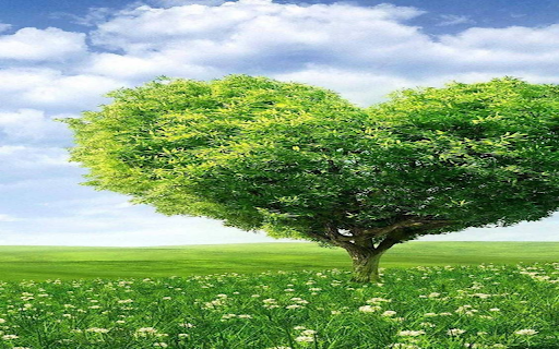 Heart shaped tree wallpaper  from Chrome web store to be run with OffiDocs Chromium online