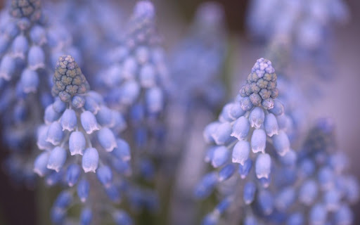 Hekiwi Theme  from Chrome web store to be run with OffiDocs Chromium online