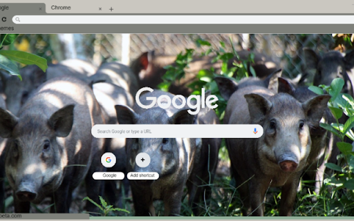 Heo rung  from Chrome web store to be run with OffiDocs Chromium online