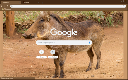 Heo rung chau Phi  from Chrome web store to be run with OffiDocs Chromium online