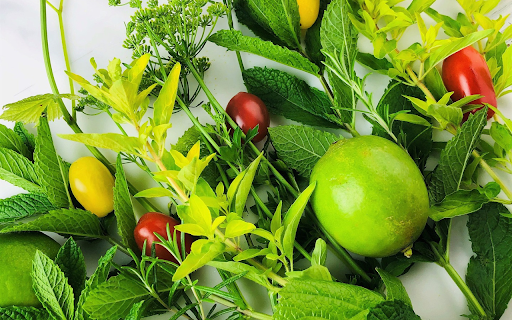 Herbs in the garden  from Chrome web store to be run with OffiDocs Chromium online