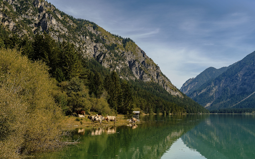 Herd of cows by the lake  from Chrome web store to be run with OffiDocs Chromium online