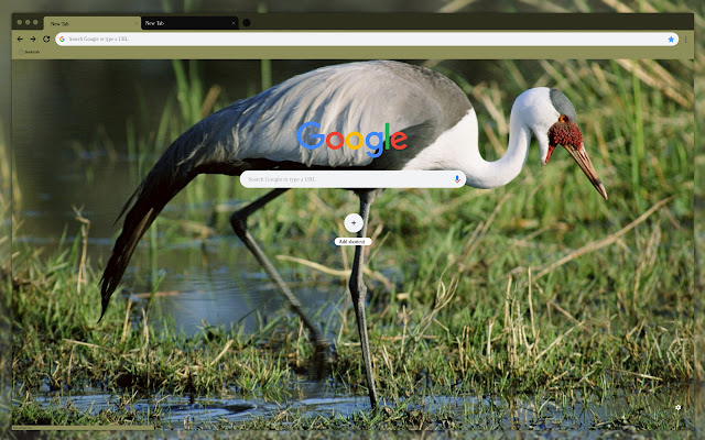 Heron  from Chrome web store to be run with OffiDocs Chromium online