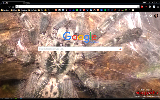 Heteroscodra maculata  from Chrome web store to be run with OffiDocs Chromium online