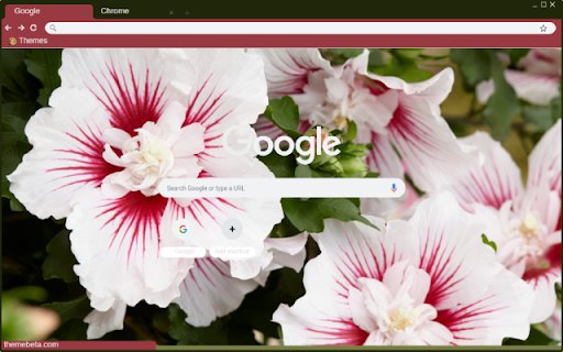 Hibiscus Syriacus  from Chrome web store to be run with OffiDocs Chromium online